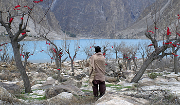 The Absence of Apricots (Pakistan, Allemagne)