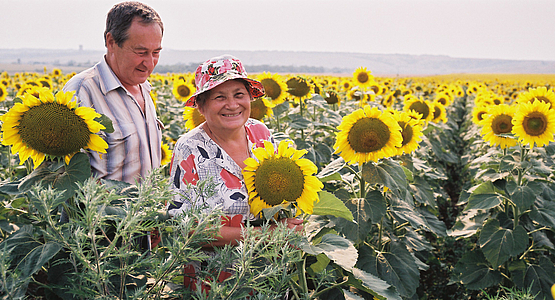 Girls and Honey - Film still 1