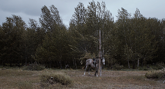 Camp on the Wind’s Road - Film still 1